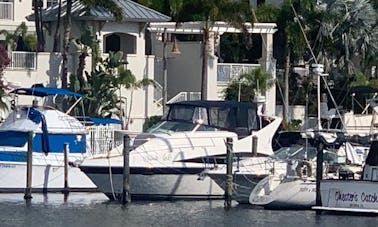 Tampa Bay - Zone de Clearwater avec un Carver Mariner parfait et élégant 38 x 190$/h