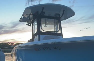 Relax / Cruise/ Fish with 24ft Sea Pro Center Console in East Patchogue, New York