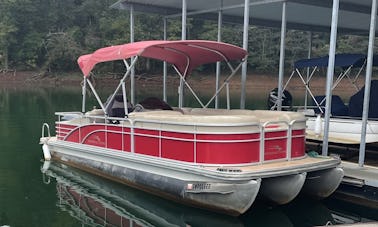 Tri-toon 250HP in Andersonville, TN Norris Lake