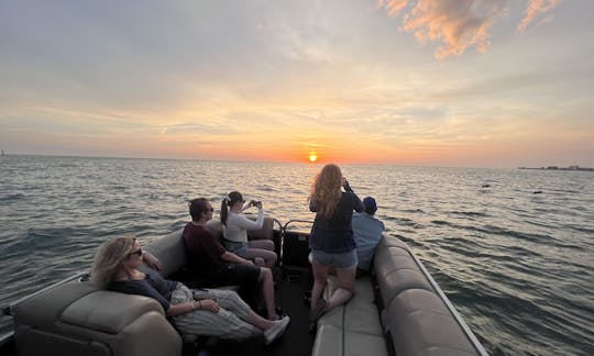 Pontoon Eco Tours with Captain Ryan in Madeira Beach