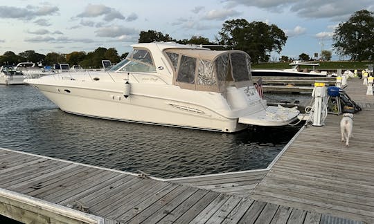 Yacht Sea Ray Sundancer de 51 pieds au port de Diversey !