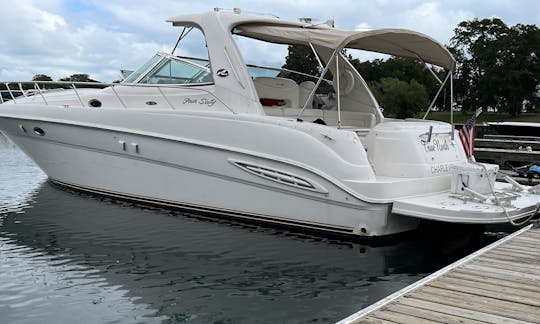 Yacht Sea Ray Sundancer de 51 pieds au port de Diversey !