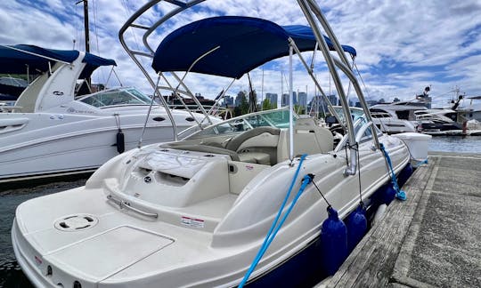 21' Sea Ray in Seattle