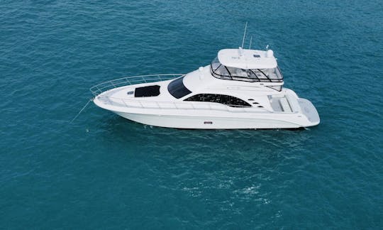 Lujoso yate de 60 pies con Fly Bridge 
