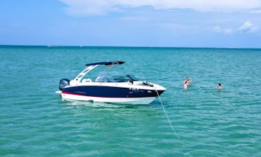 Regal LX4 de luxe avec capitaine breveté ! Plongée avec tuba, excursions avec des dauphins et des bancs de sable