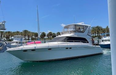 🇺🇸 ✨10% Off ✨ Luxury Cruising Yacht 51' Sea Ray Starting $325 per hr from Jupiter FL