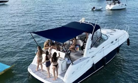 Profitez de Miami à bord du yacht à moteur Sea Ray Sundancer de 40 pieds ! ! !