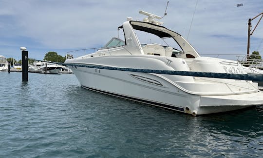 イリノイ州シカゴのSeaRay 460サンダンサーモーターヨットのレンタル