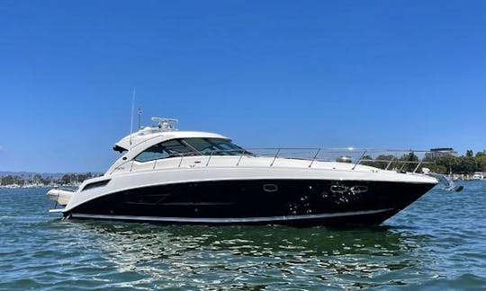 *GORGEOUS* 54' Sea Ray Sundancer w/ Huge Cockpit for Parties & Dancing