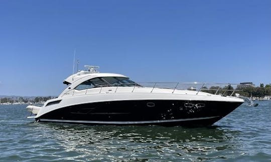 *Precioso* Sea Ray Sundancer de 54 pies con una enorme cabina para fiestas y bailes