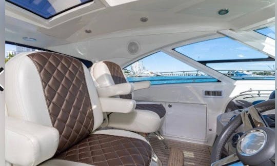 *Precioso* Sea Ray Sundancer de 54 pies con una enorme cabina para fiestas y bailes