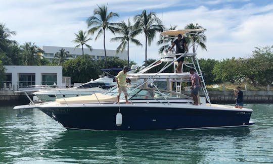 Charter de pesca de ámbar de 33 pies en Cabo San Lucas