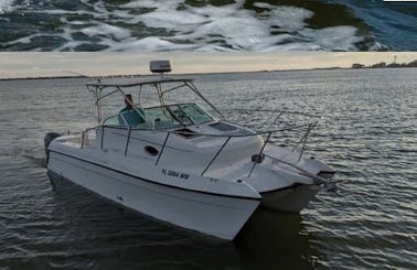 Boating, Dolphin-Watching, Sunset Cruises and In-Shore Fishing Captained Charters in Navarre Beach, Florida