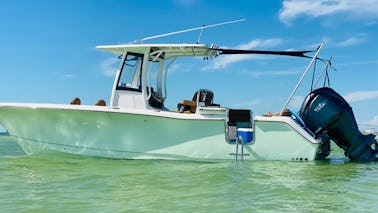 Novo fretamento Sea Hunt Ultra 275 em Tarpon Springs, FL