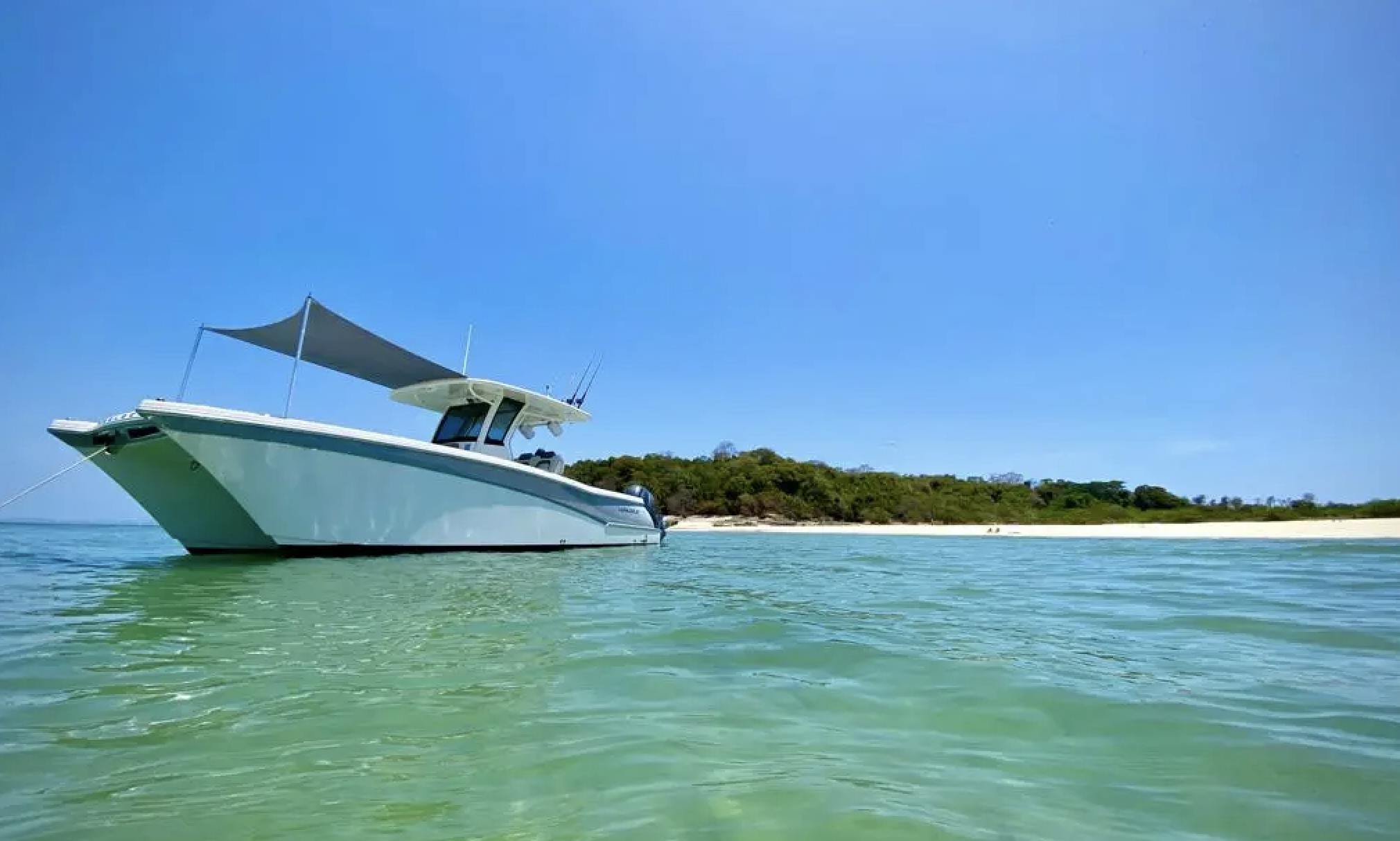 28' Worldcat 280 CCX Catamaran in Panama for up to 8 Passengers | GetMyBoat