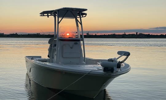 Charleston's Private Customizable Charter! Dolphins*Shark Teeth*Sunset*Harbor*