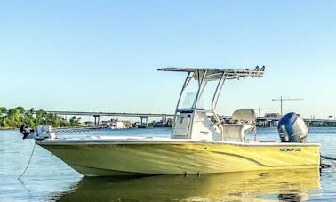 Charleston's Private Customizable Charter! Dolphins*Shark Teeth*Sunset*Harbor*