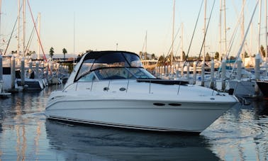 Experience this Exclusive 12 Person Private Yacht on San Diego Bay!