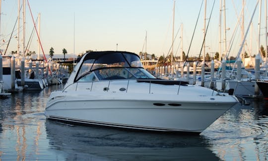 Experience this Exclusive 12 Person Private Yacht on San Diego Bay!