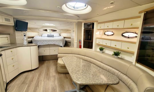 Explore Toronto in Luxury Onboard a 45' Cruiser!