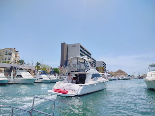 Sea Ray à louer à Cabo San Lucas - 19 personnes autorisées