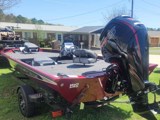 NUEVO barco Lowe Bass, 115 CV con motor de arrastre