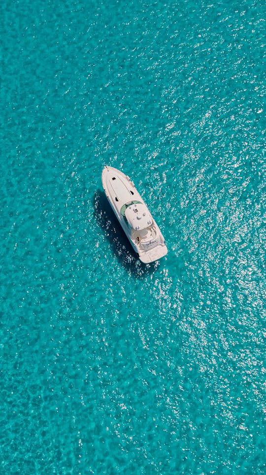 50ft SeaRay Sundancer Party Yacht In Cancún, Quintana Roo