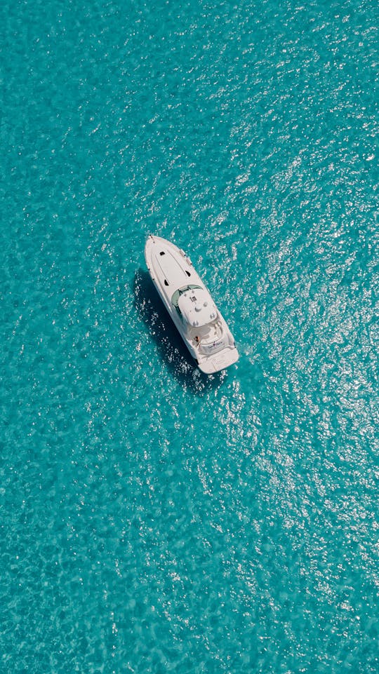 50ft SeaRay Sundancer Party Yacht In Cancún, Quintana Roo