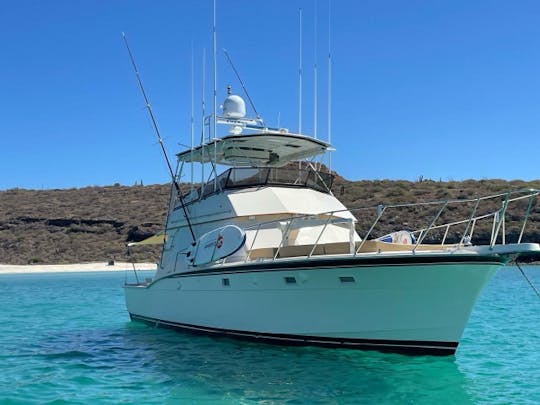 Wow!  Large Space For Groups | 50ft Hatteras Yacht -New Upgraded Interior 