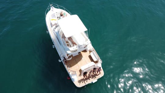 Yacht in Marbella Sighting dolphins