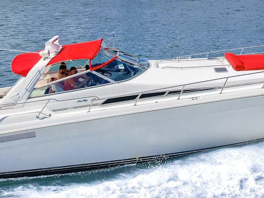 SEA RAY 55' PRIVATE YACHT! GET 1HR FREE MONDAY-THURSDAY!