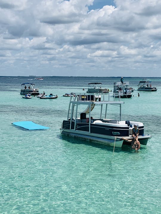 Passeio com golfinhos, Ilha do Caranguejo, mergulho com snorkel, fogos de artifício