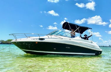 Perfect Day on the Water - 24' SeaRay Cabin Cruiser Rental