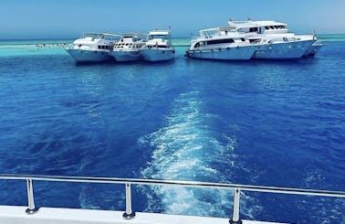 Diving + White Island trip VIP Yacht in Sharm El Sheikh 