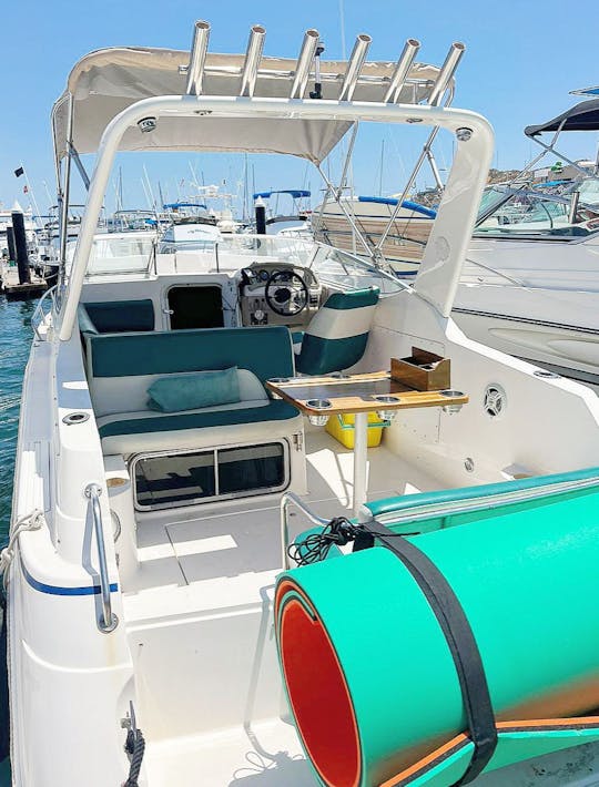 Welcraft 30Ft Available for rent in cabo san lucas mexico !!!