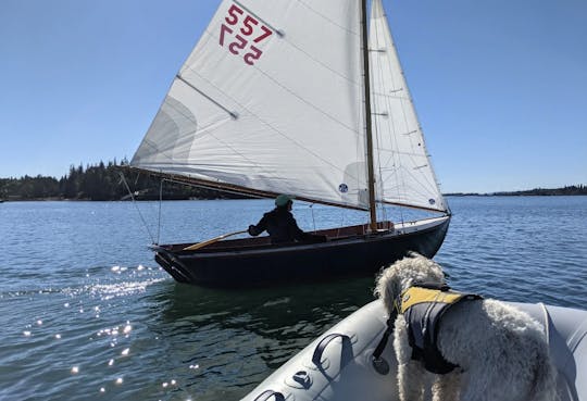 Aluguer de veleiros de 12 1/2 em Herreshoff