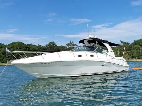 Beautiful Sundancer 340 in Sag Harbor