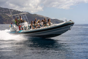 Location de bateaux à moteur RIB - Plongée avec tuba et détente sur la côte de Madère