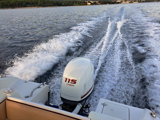 Saver 19 - Yamaha 115 Boat Rental in Cres