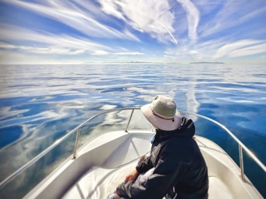 Emoción y relajación acuáticas náuticas. Boston Whaler SS Limited clásico de 17 pies. 