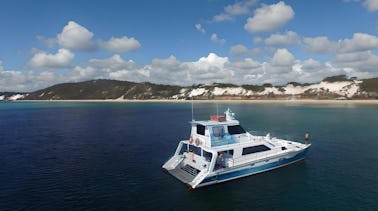 Plaisirs des fêtes d'automne • 4 heures • Croisière dans la baie d'Hervey et le détroit de Great Sandy