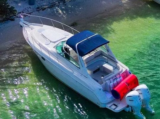 37FT MONTEREY Experience Miami : des réductions importantes sont disponibles ! Renseignez-vous dès maintenant !