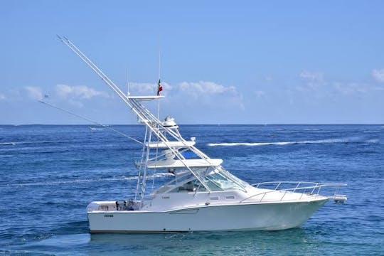 Sport fishing adventure in cabo san lucas aboard Pescado Grande!