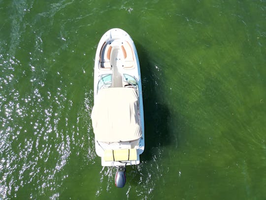 ¡La mejor oferta del mercado! Sea Ray Sundeck 26': ¡Diversión a un precio inmejorable!