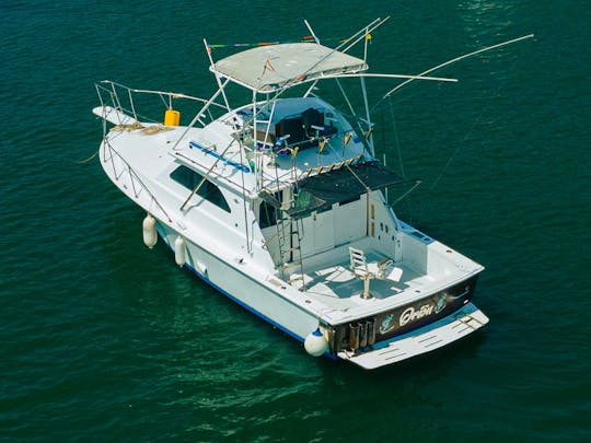 Custom 35 ft Yacht and Sportfishing Charter