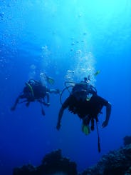 Diving in Cyprus, Poli Crysochous