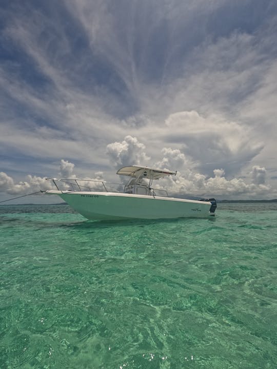 Pro Line 24ft - Snorkeling Tours and Island Hopping