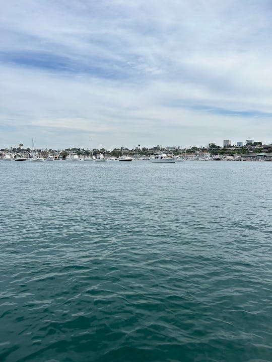 ¡Diviértete bajo el sol con el barco de cubierta Bayliner 190!