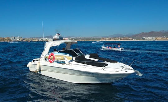 31ft Sea Ray 280 Sundancer Luxury Boat In Cabo San Lucas