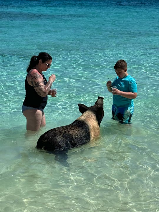 Nassau Bahamas snorkeling, swimming pigs, turtles, harbour tour!
